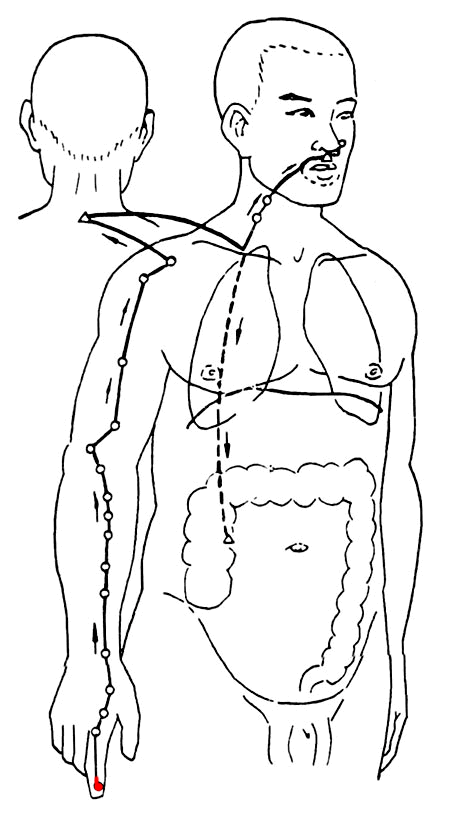 8.gif