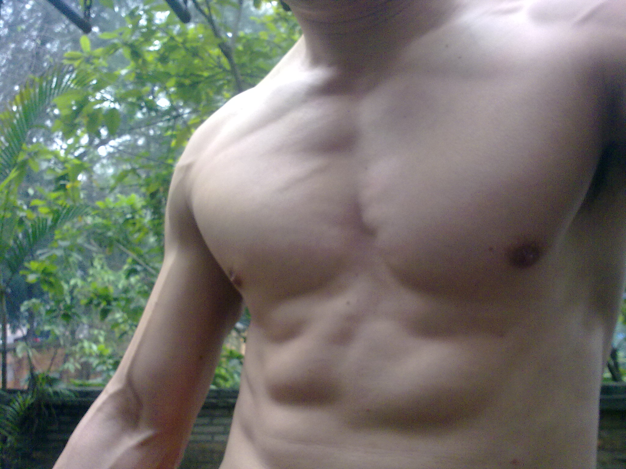 20120304287.jpg