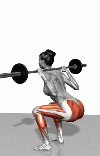 163916ybeyjl8xbj2l6u2l.gif