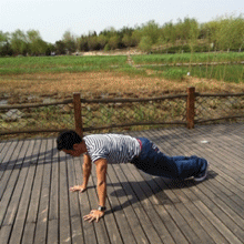 26.gif