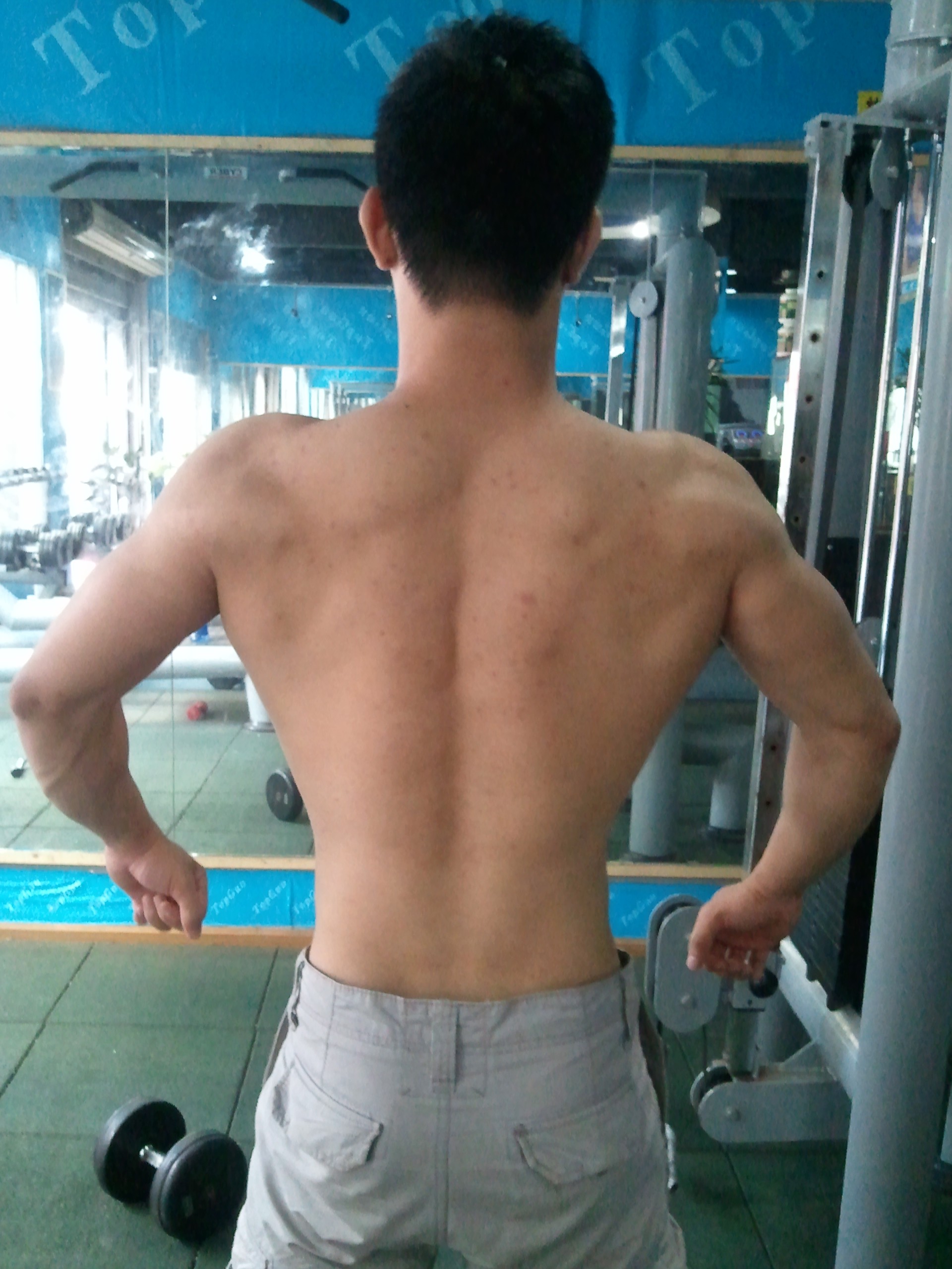 WP_000705.jpg