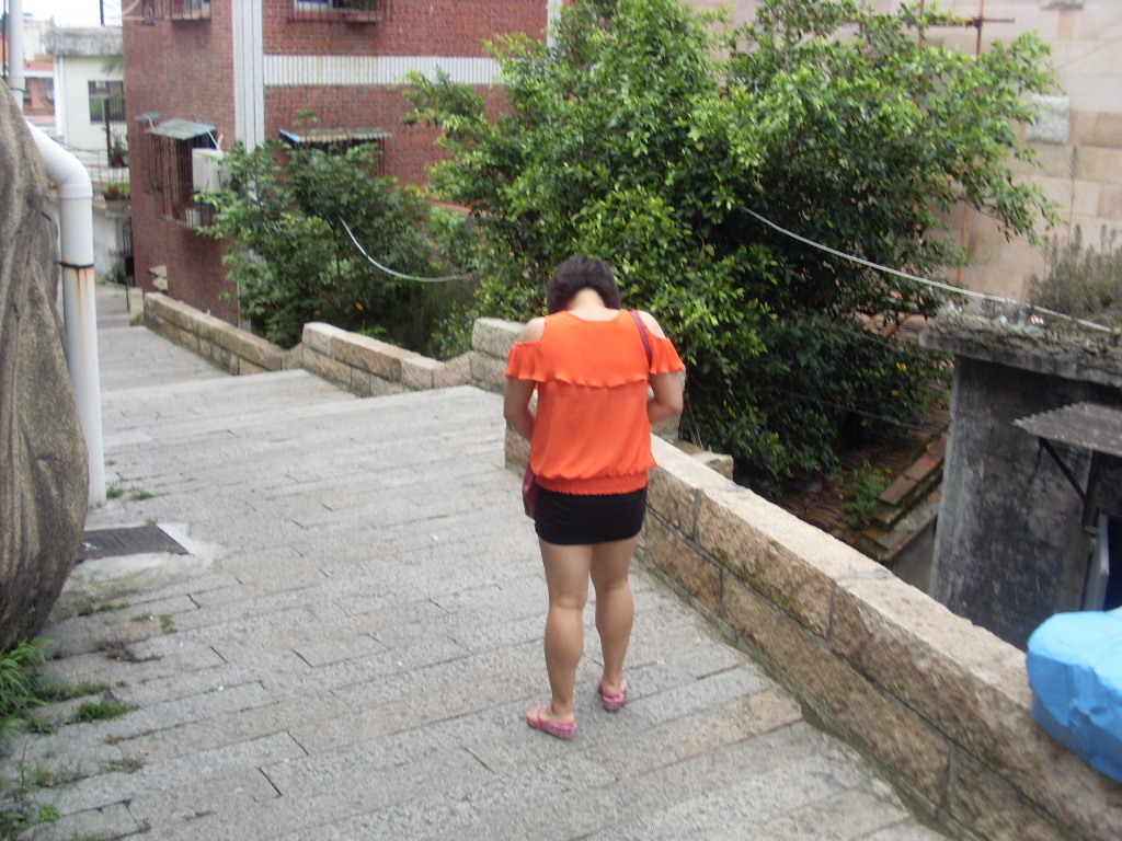 SL384854.JPG