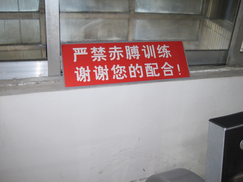 11.JPG