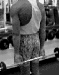 4.gif