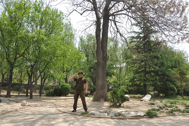 04.jpg