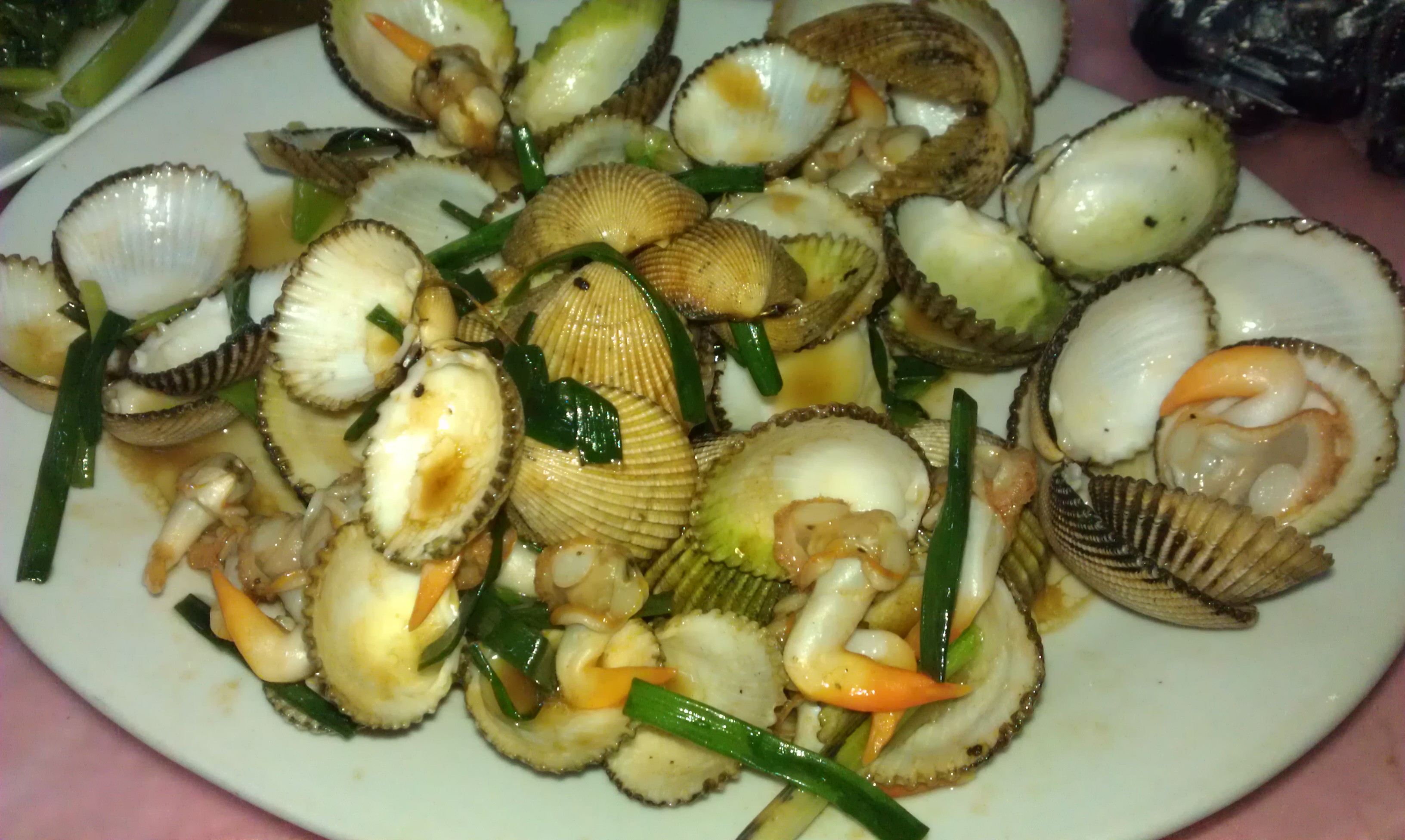 IMAG0736.jpg
