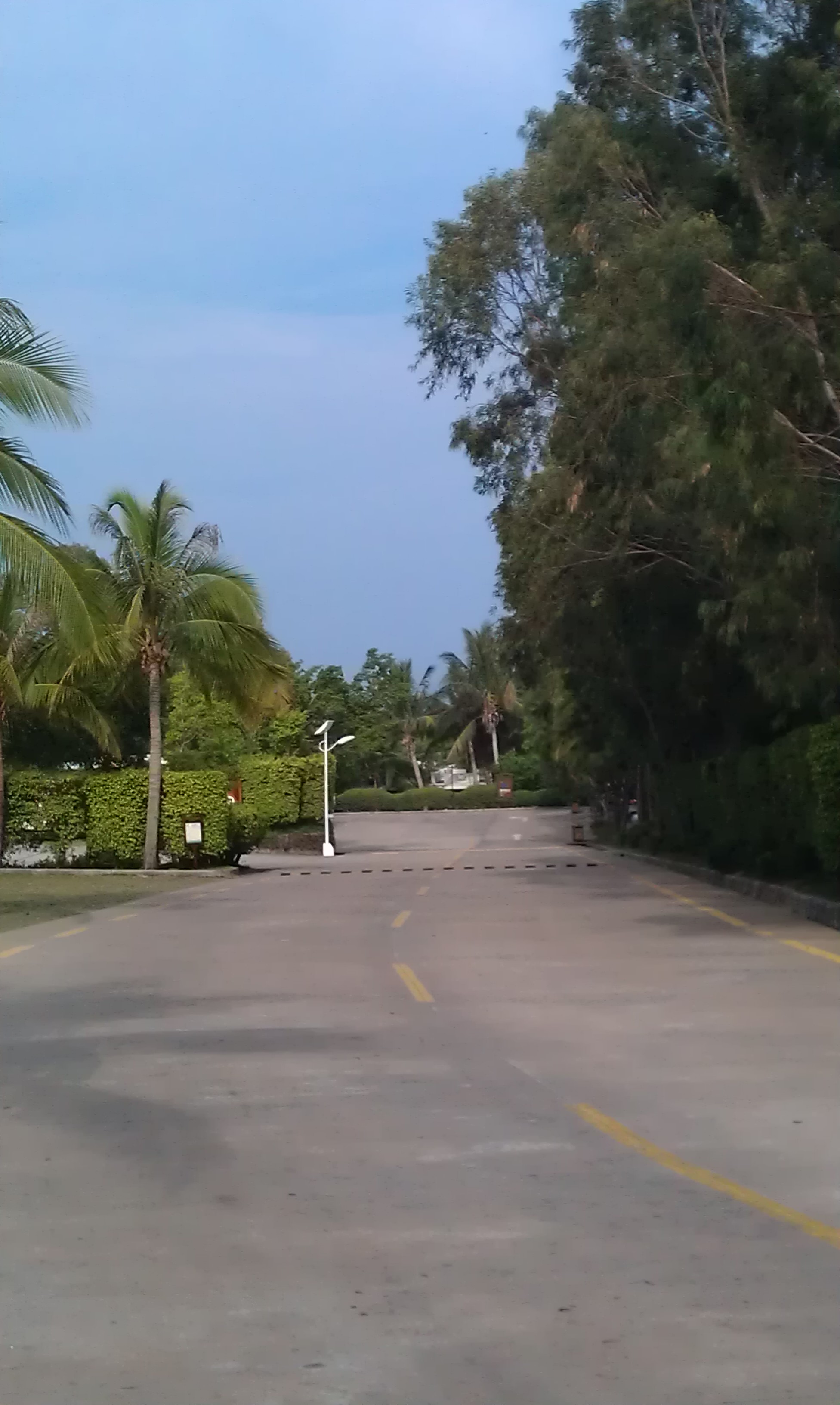 IMAG0781.jpg