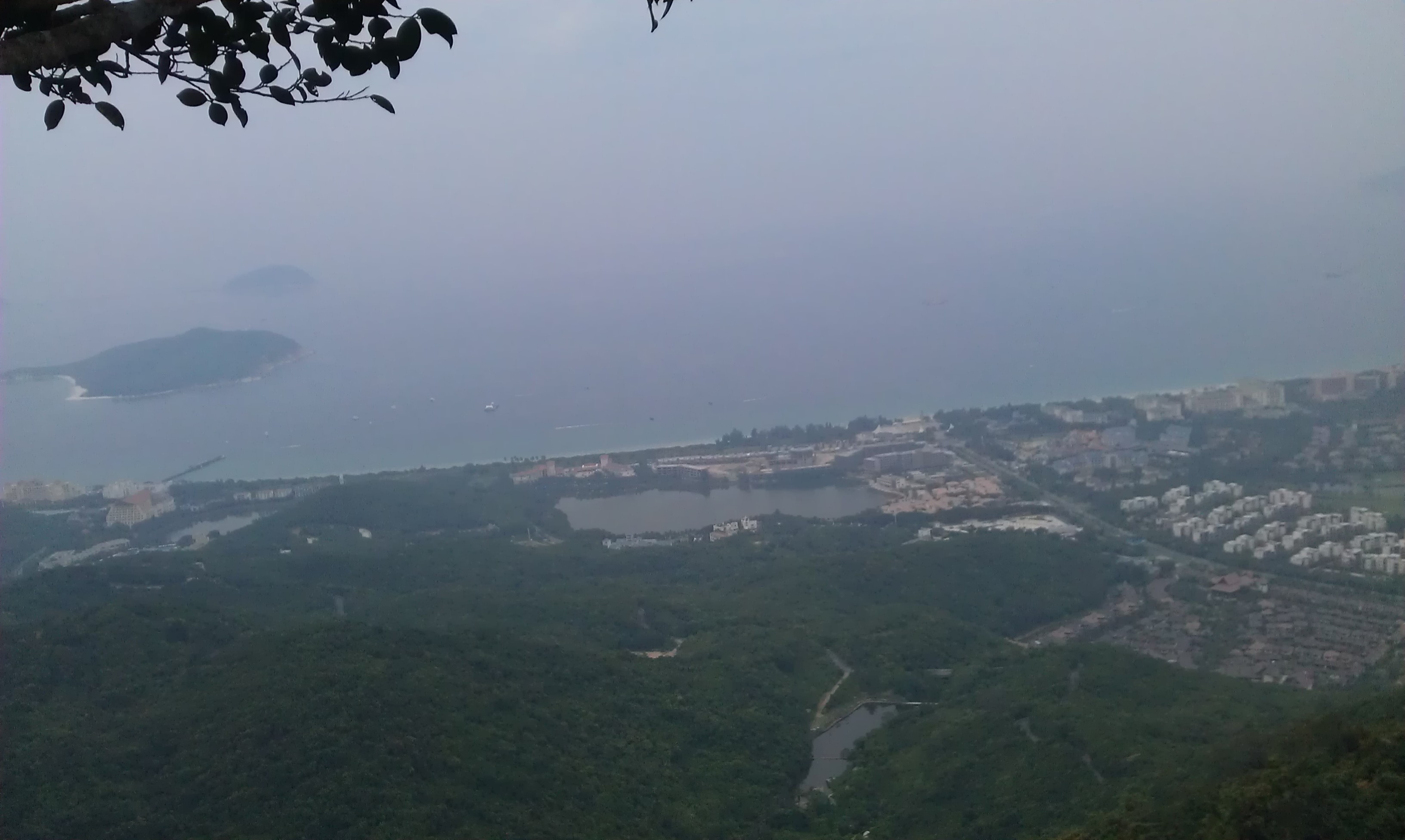 IMAG0782.jpg