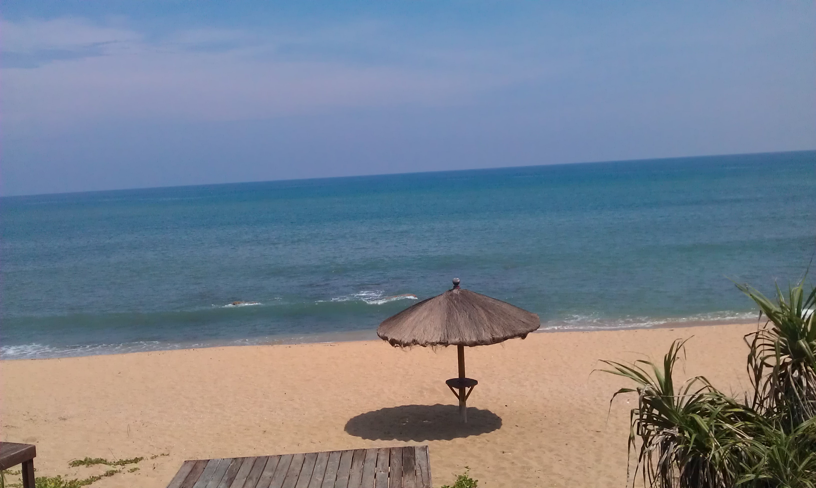 IMAG0803.jpg