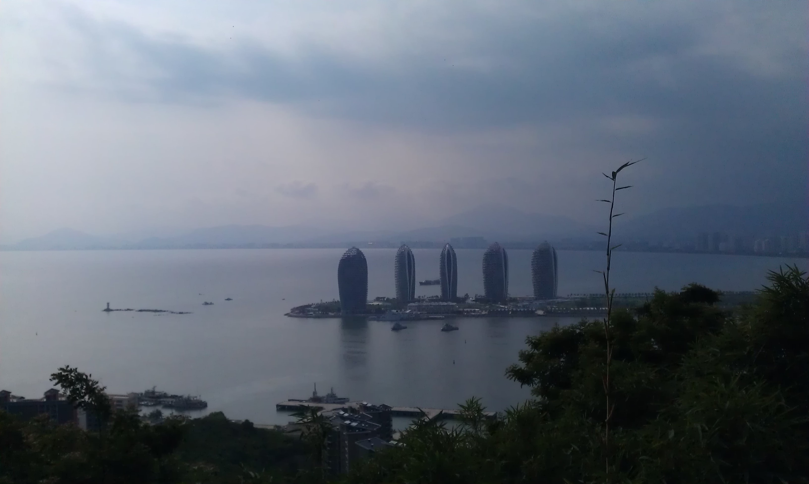 IMAG0884.jpg