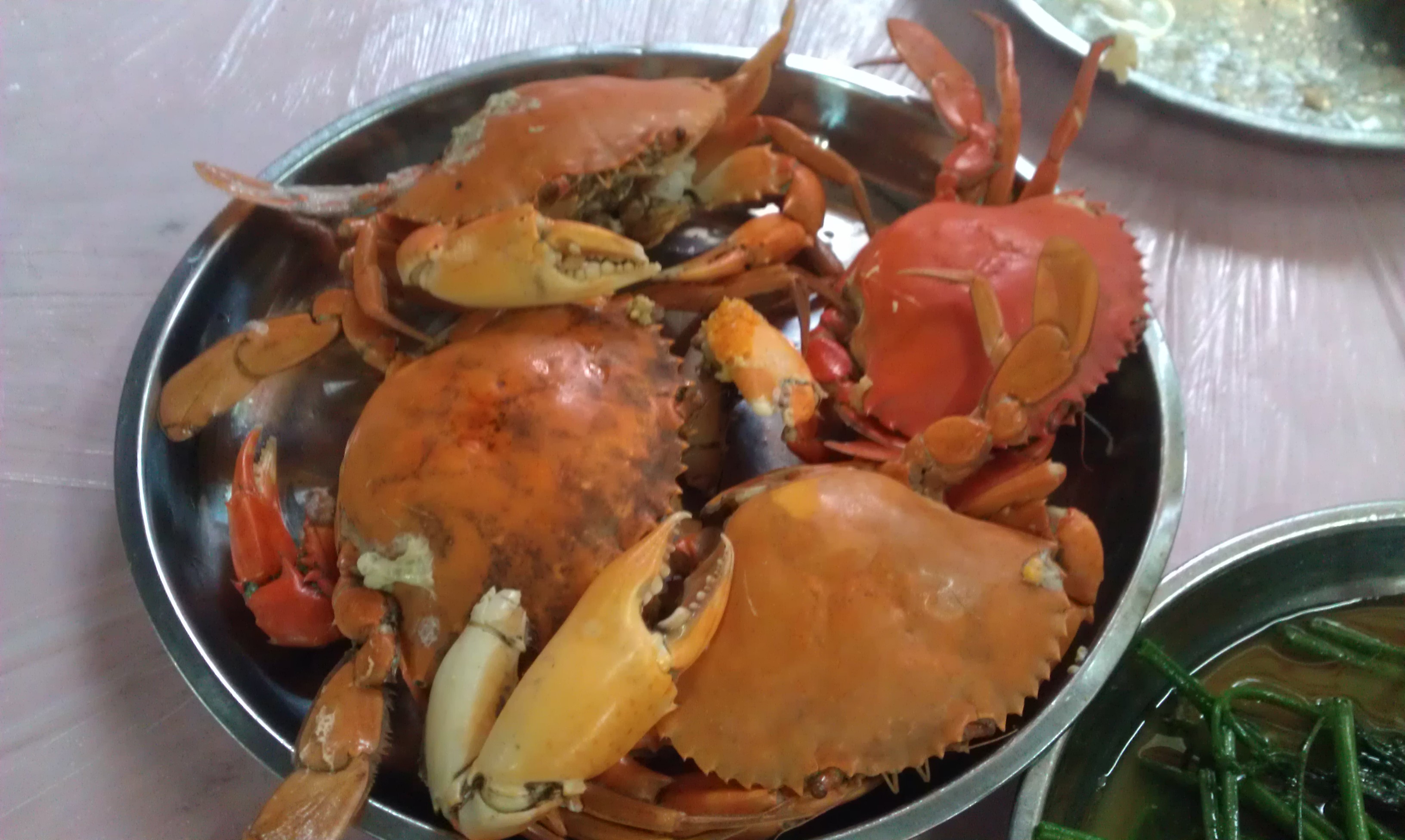 IMAG0921.jpg