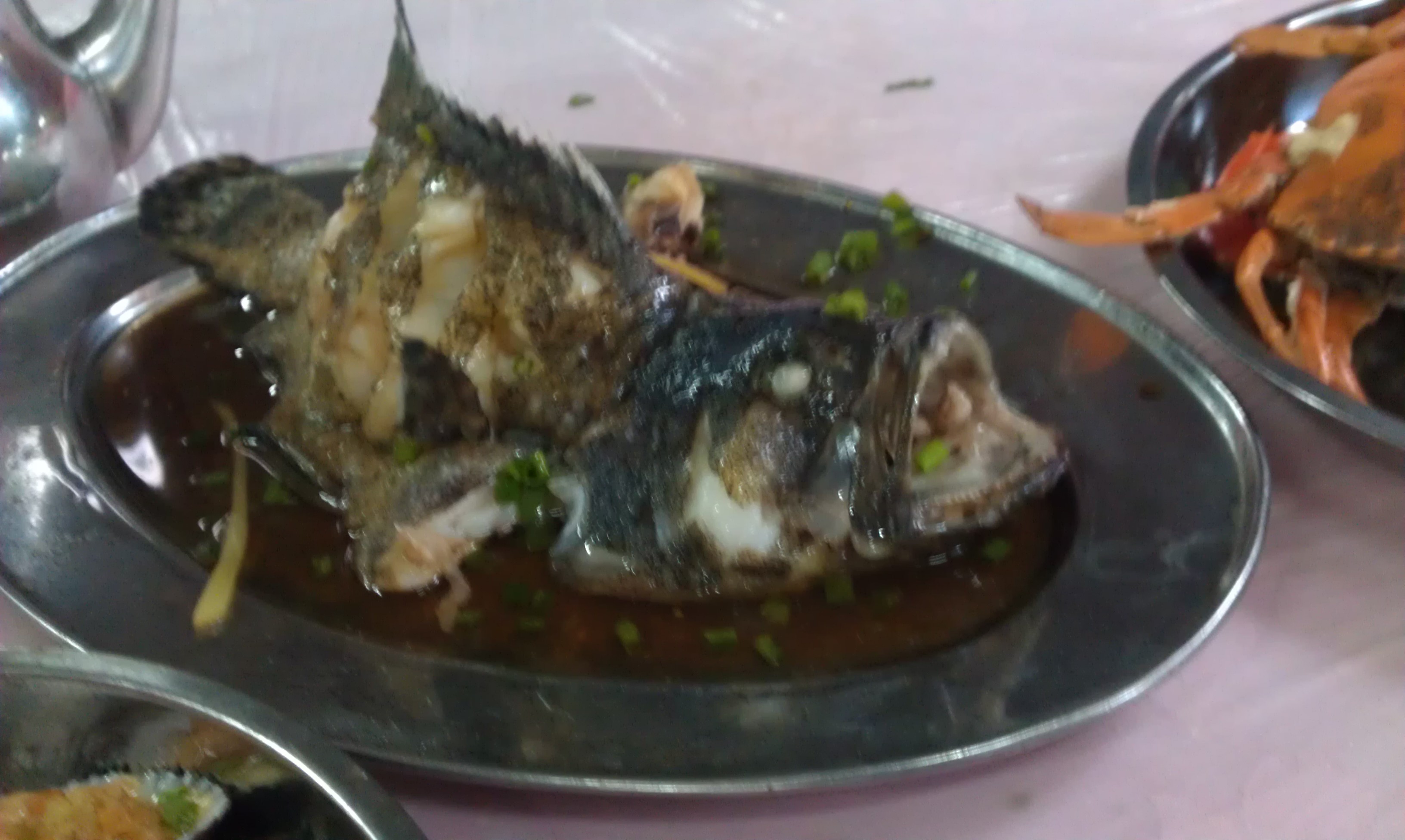IMAG0923.jpg
