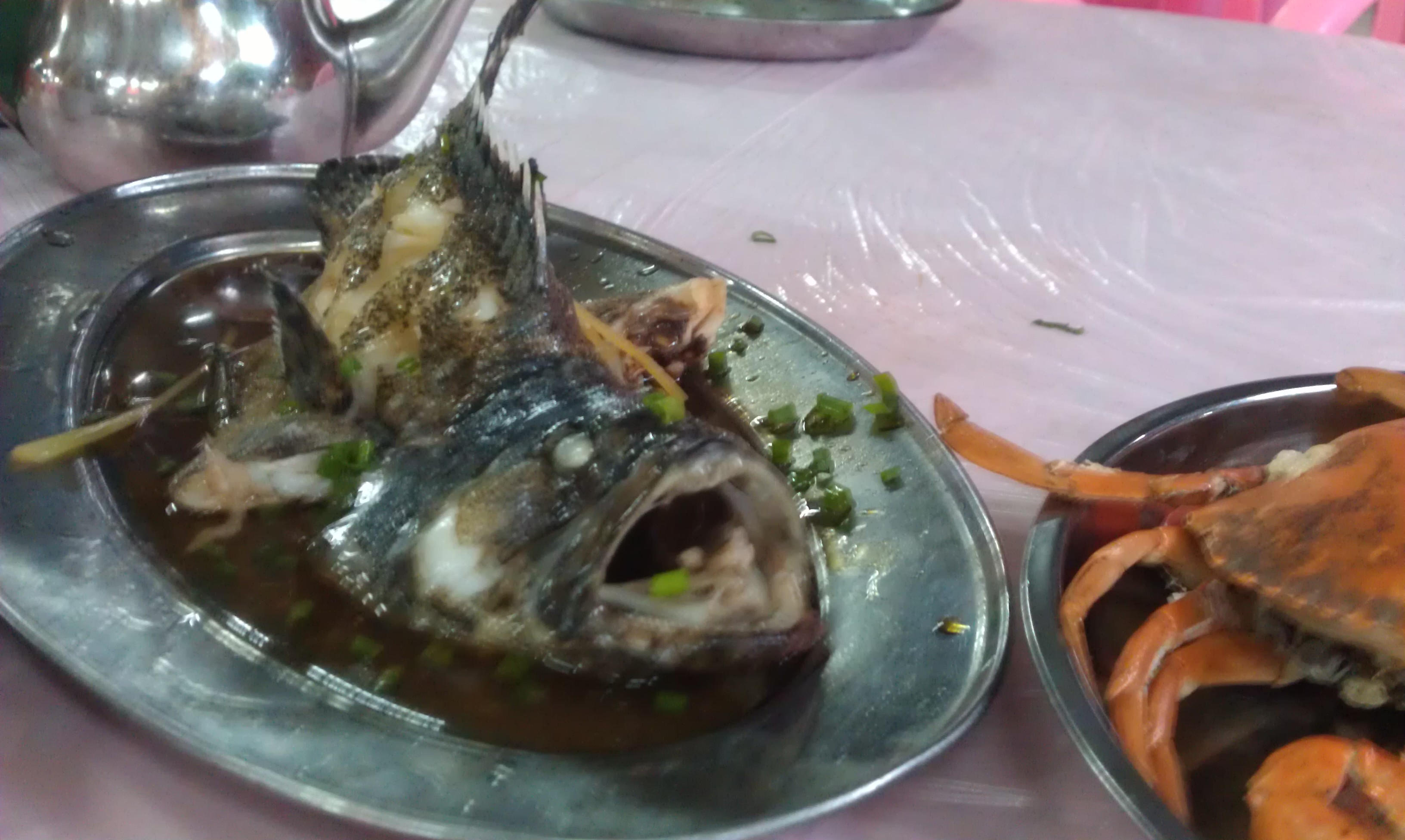 IMAG0924.jpg