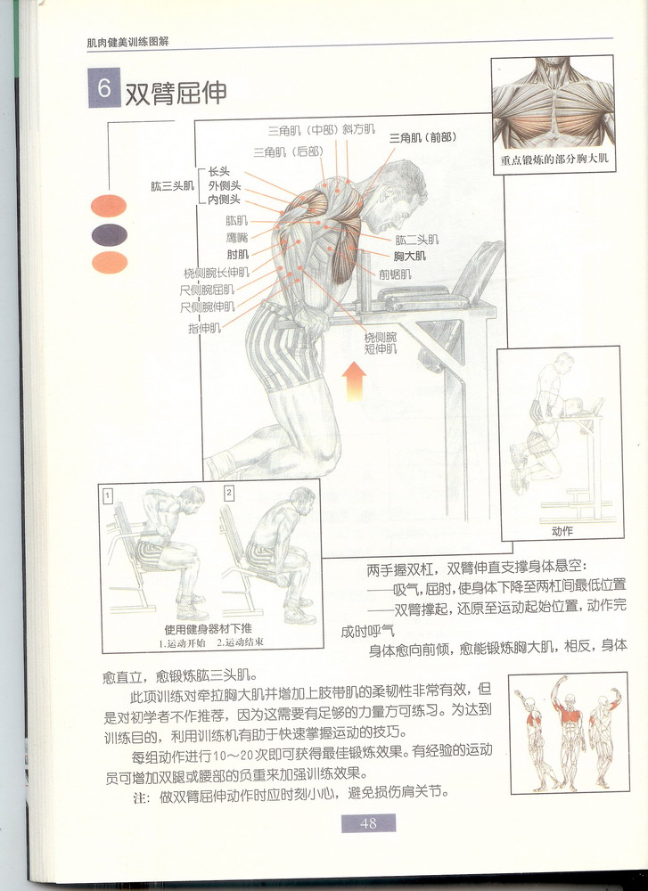 6双臂曲伸.jpg