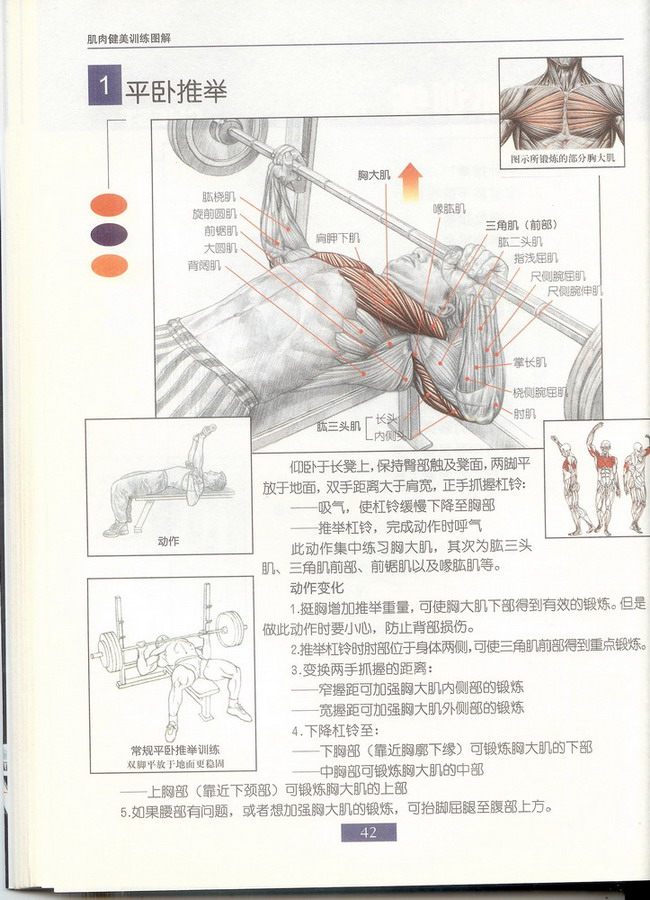 1平卧推举1.jpg