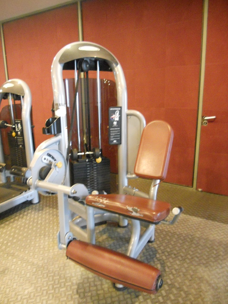 leg extension