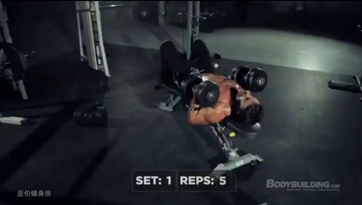 Dumbbell bench press reps5.jpg