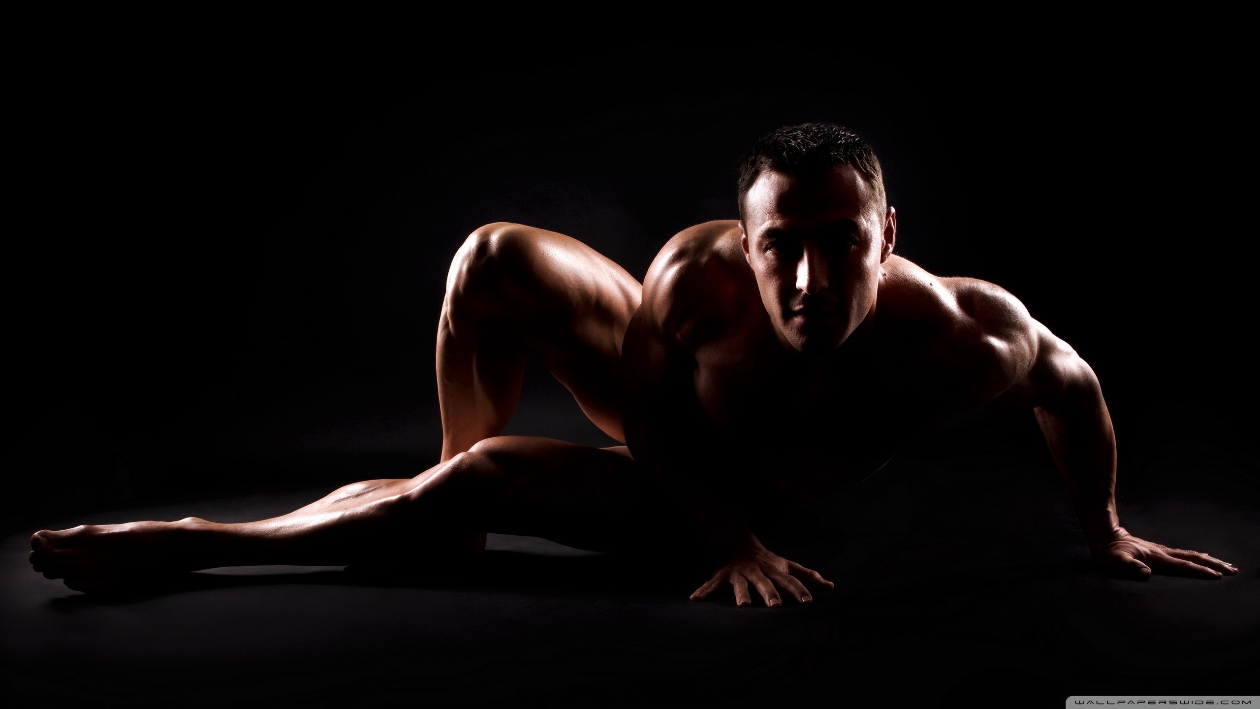 bodybuilder-wallpaper-2560x1440.jpg