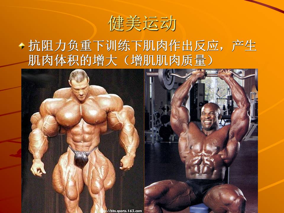 幻灯片18.JPG