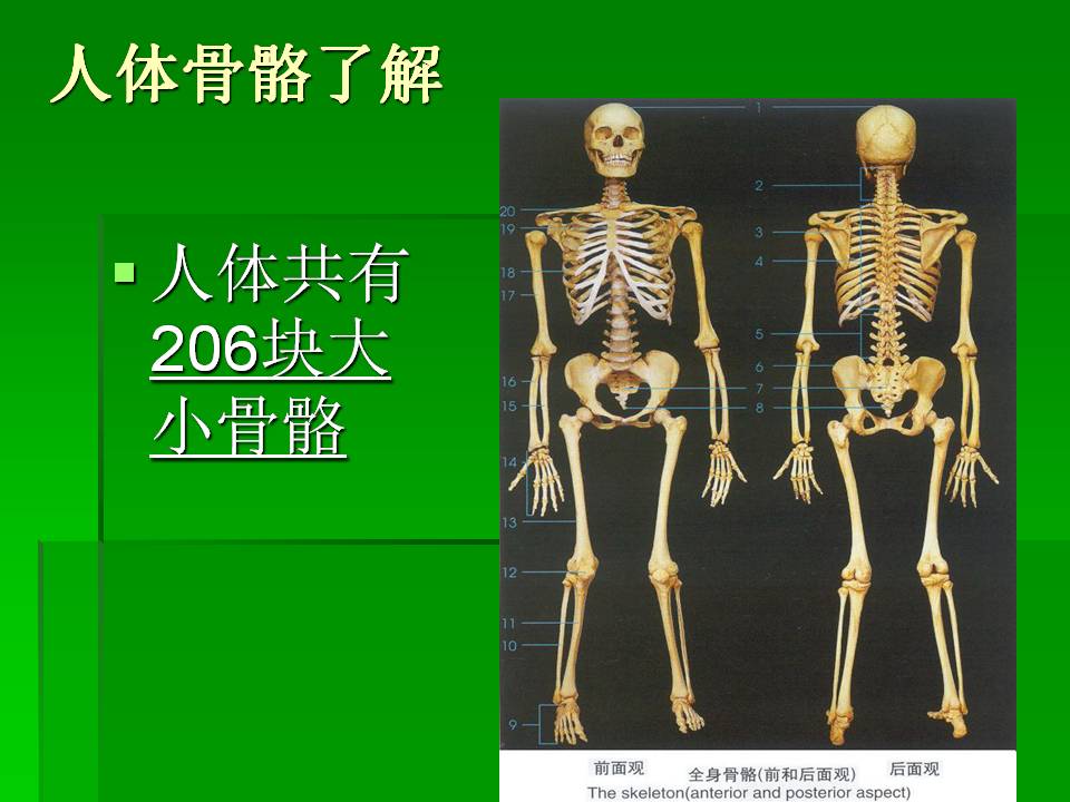 幻灯片4.JPG