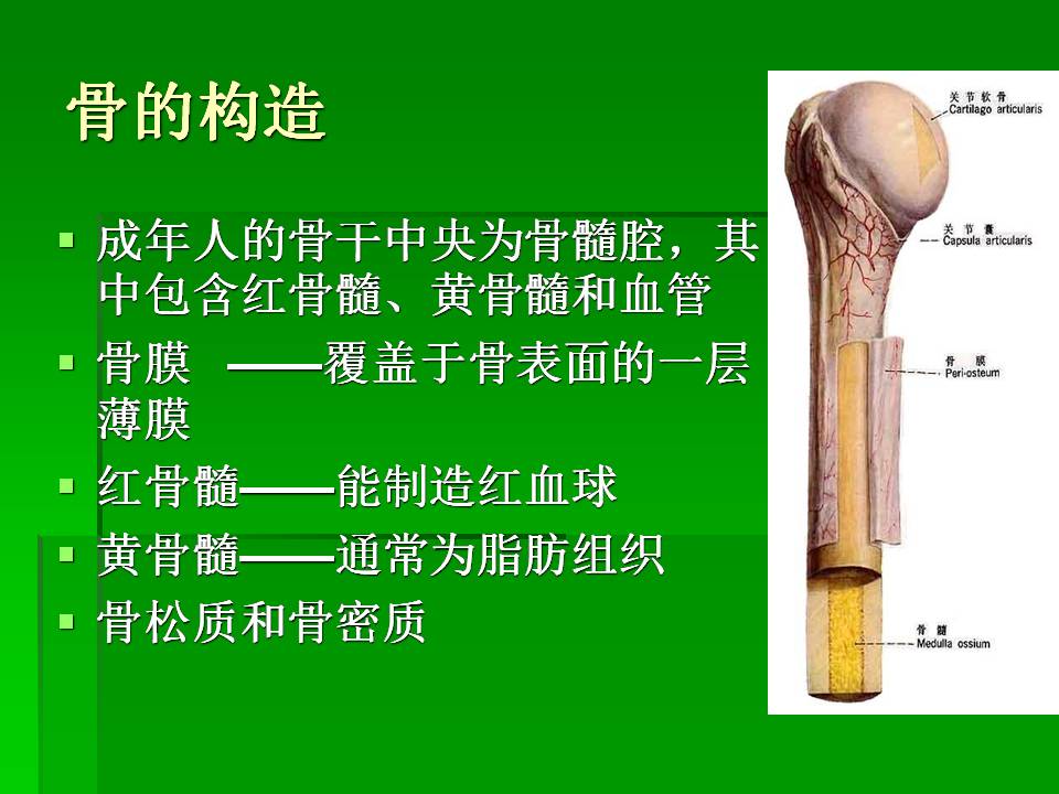 幻灯片6.JPG