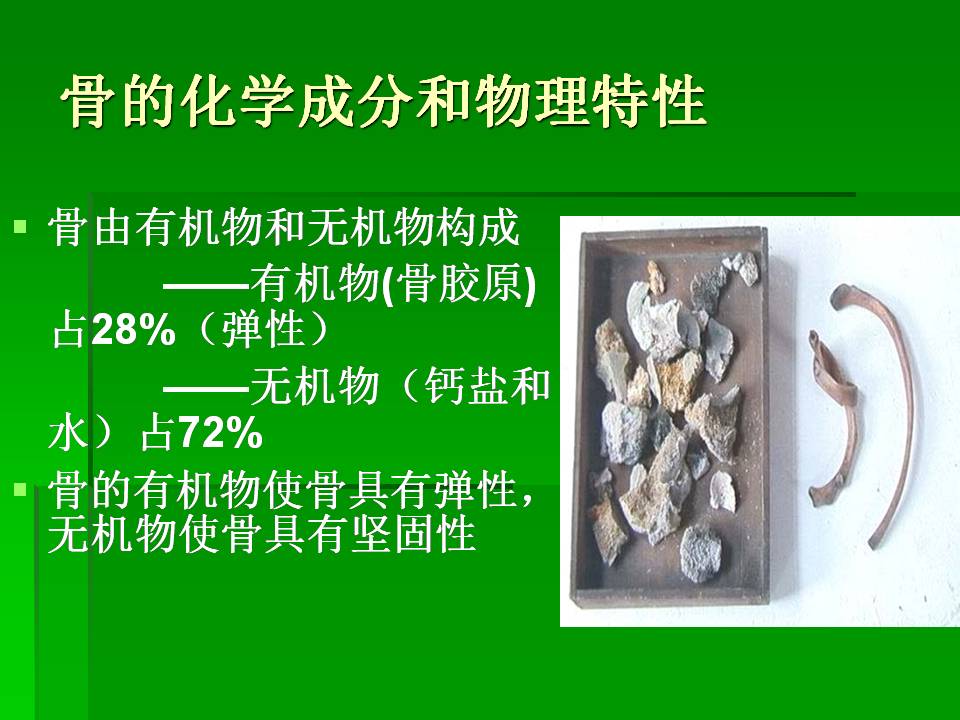 幻灯片7.JPG