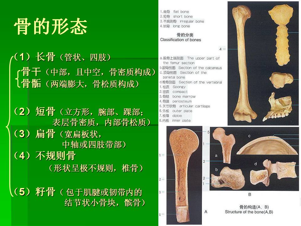 幻灯片9.JPG
