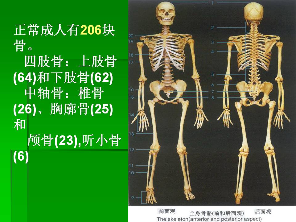 幻灯片10.JPG