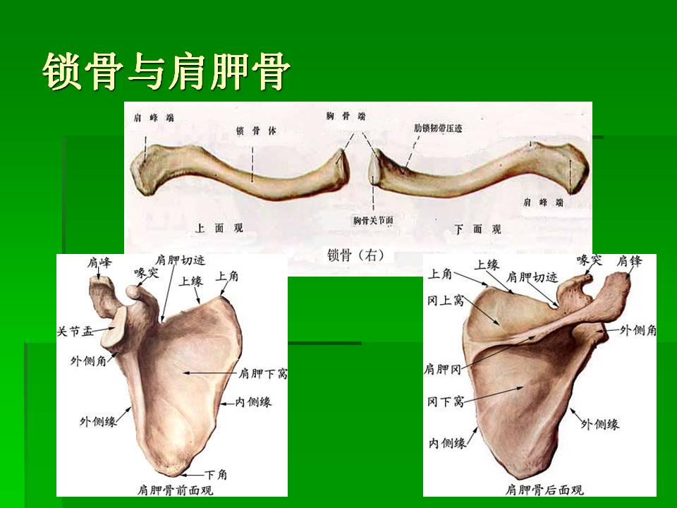 幻灯片13.JPG