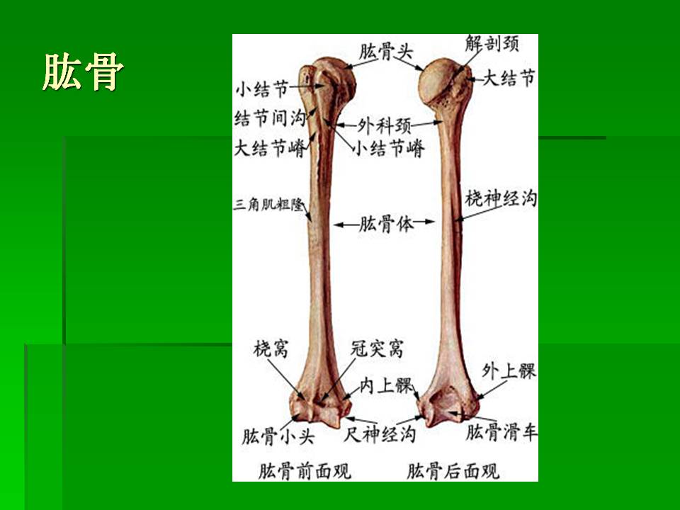 幻灯片14.JPG