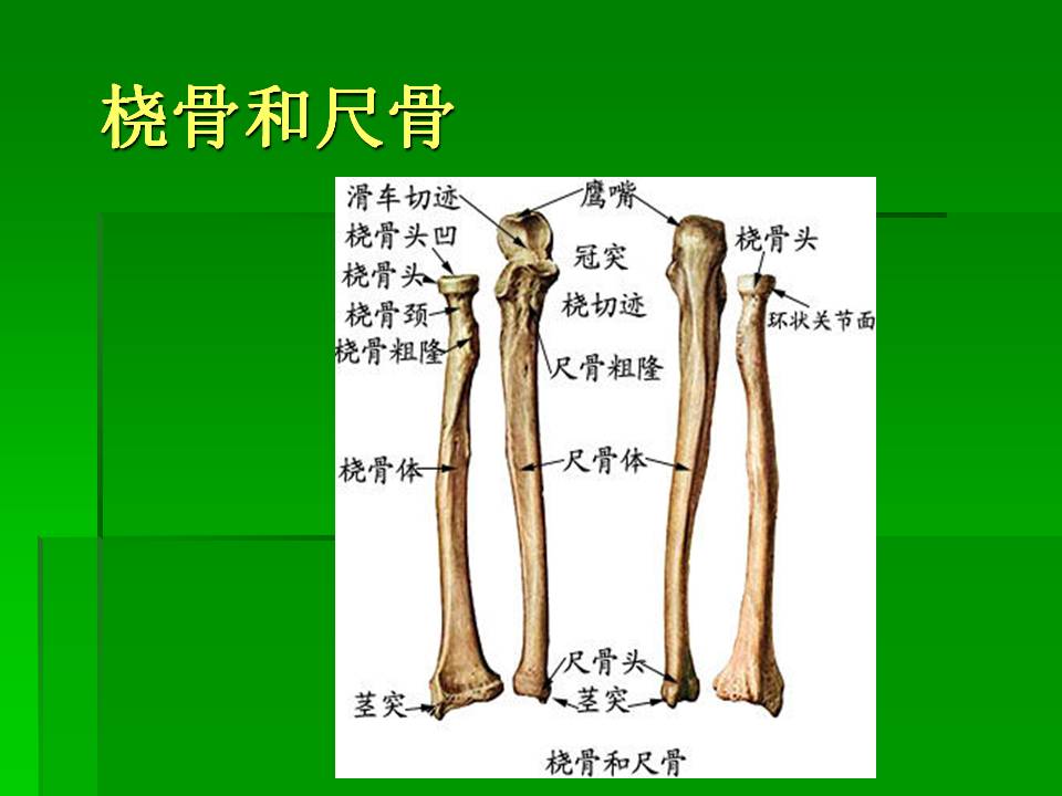 幻灯片15.JPG