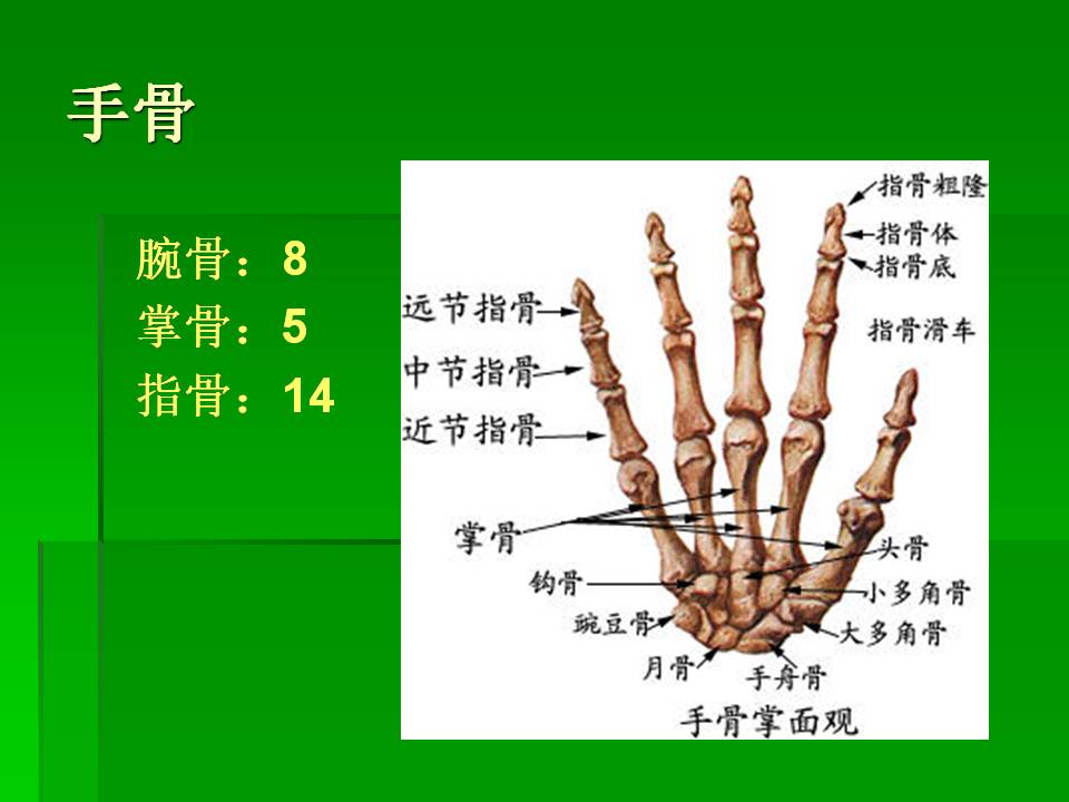 幻灯片16.JPG
