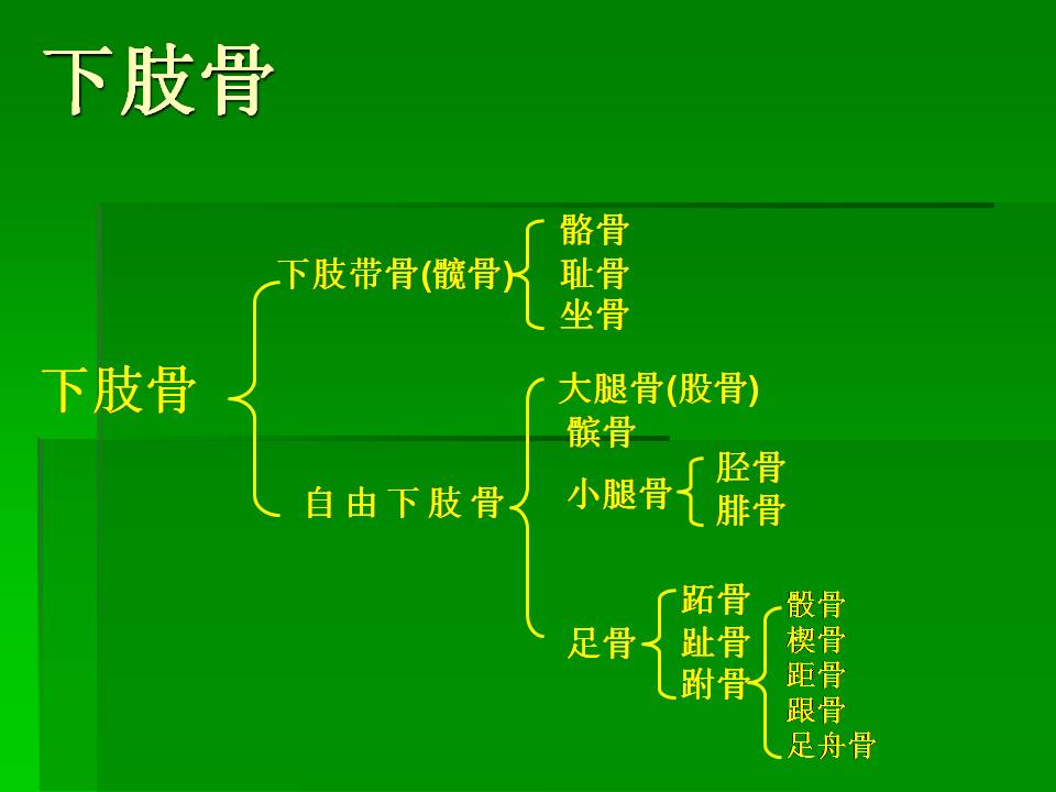 幻灯片17.JPG