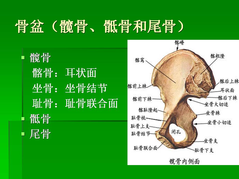 幻灯片18.JPG