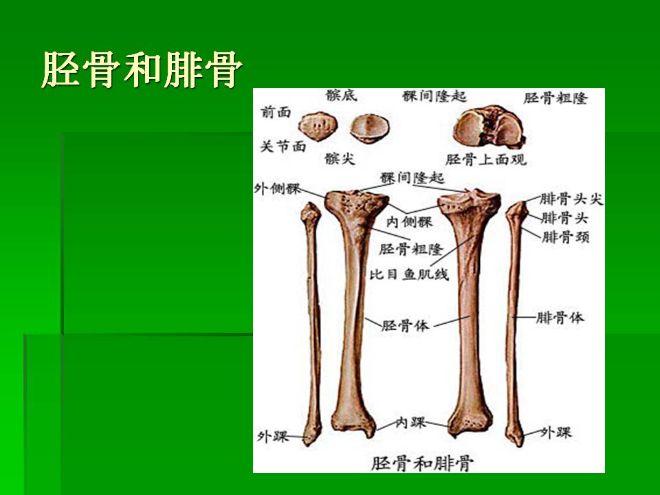 幻灯片21.JPG