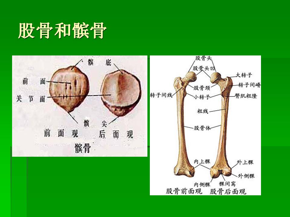 幻灯片20.JPG