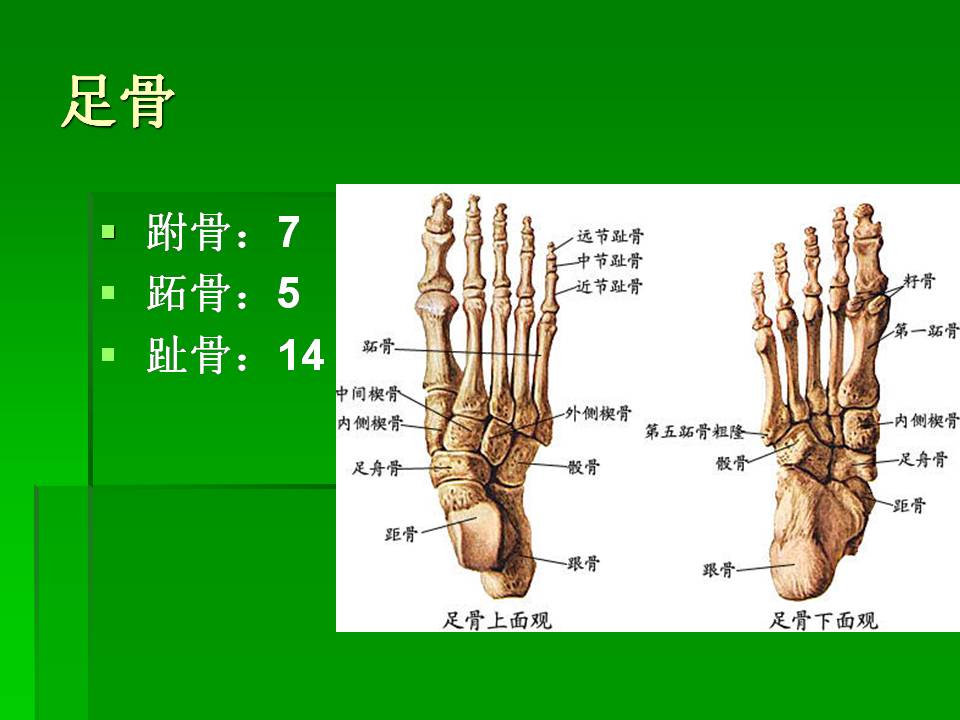 幻灯片22.JPG