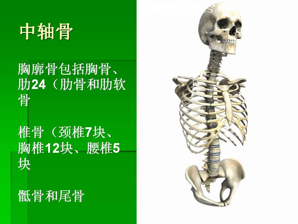 幻灯片23.JPG