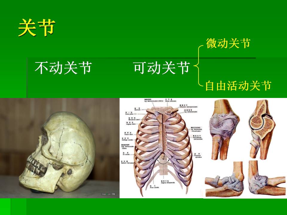 幻灯片25.JPG