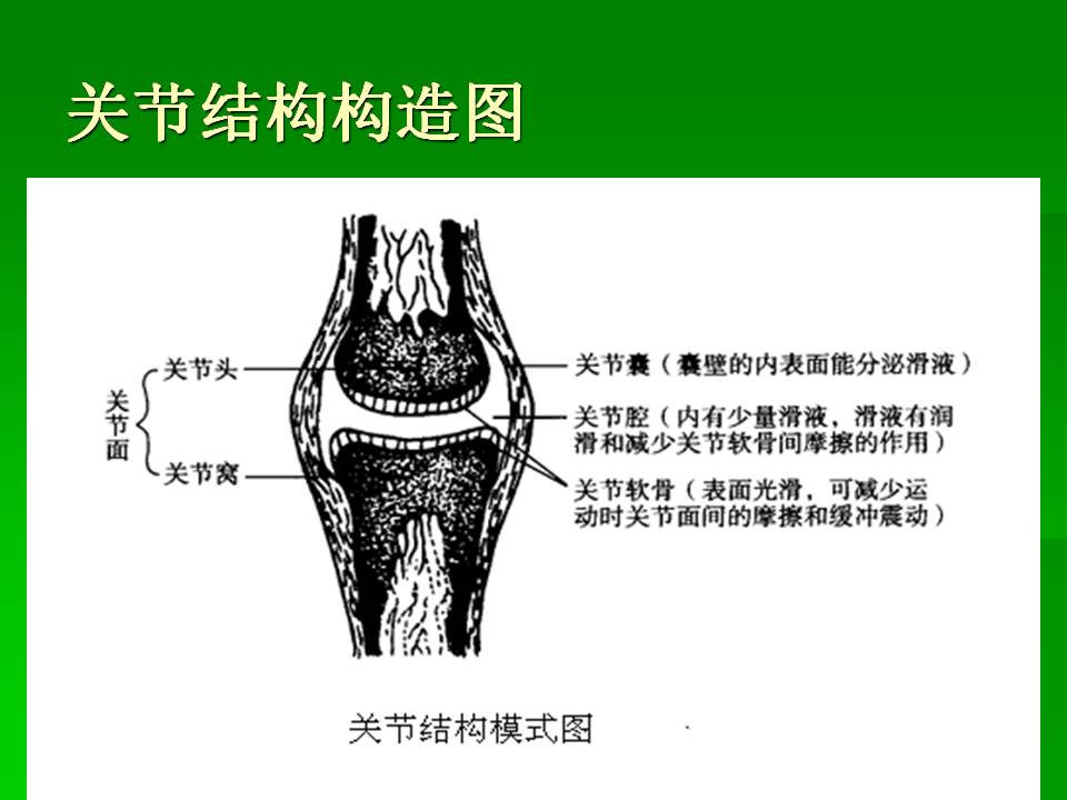 幻灯片27.JPG