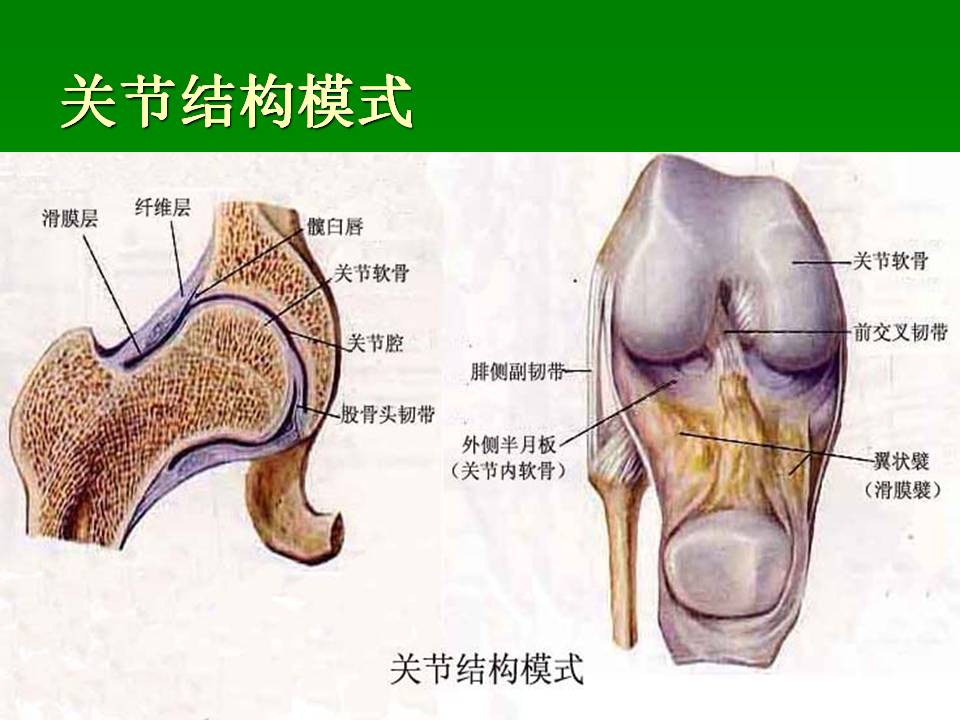 幻灯片28.JPG