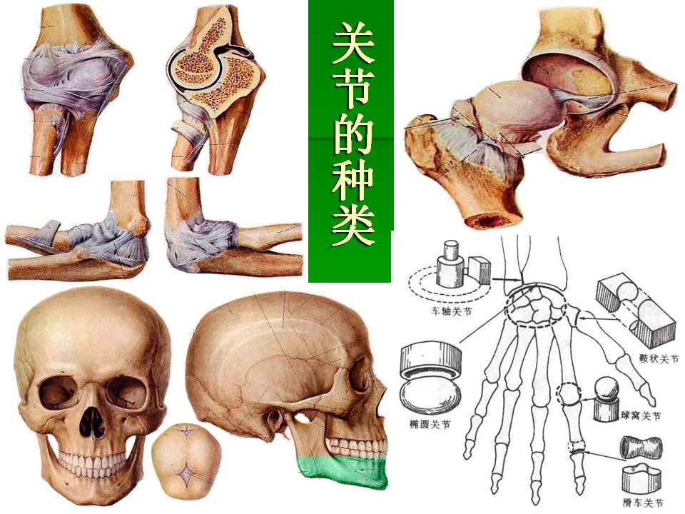 幻灯片30.JPG