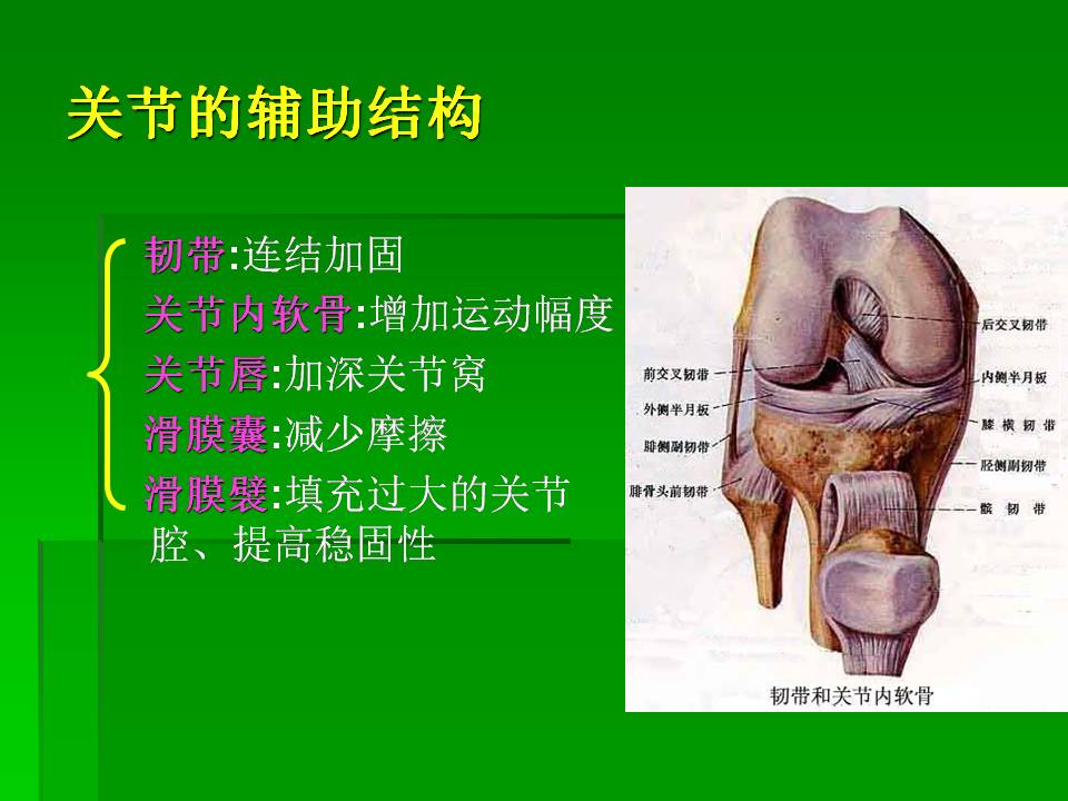 幻灯片29.JPG