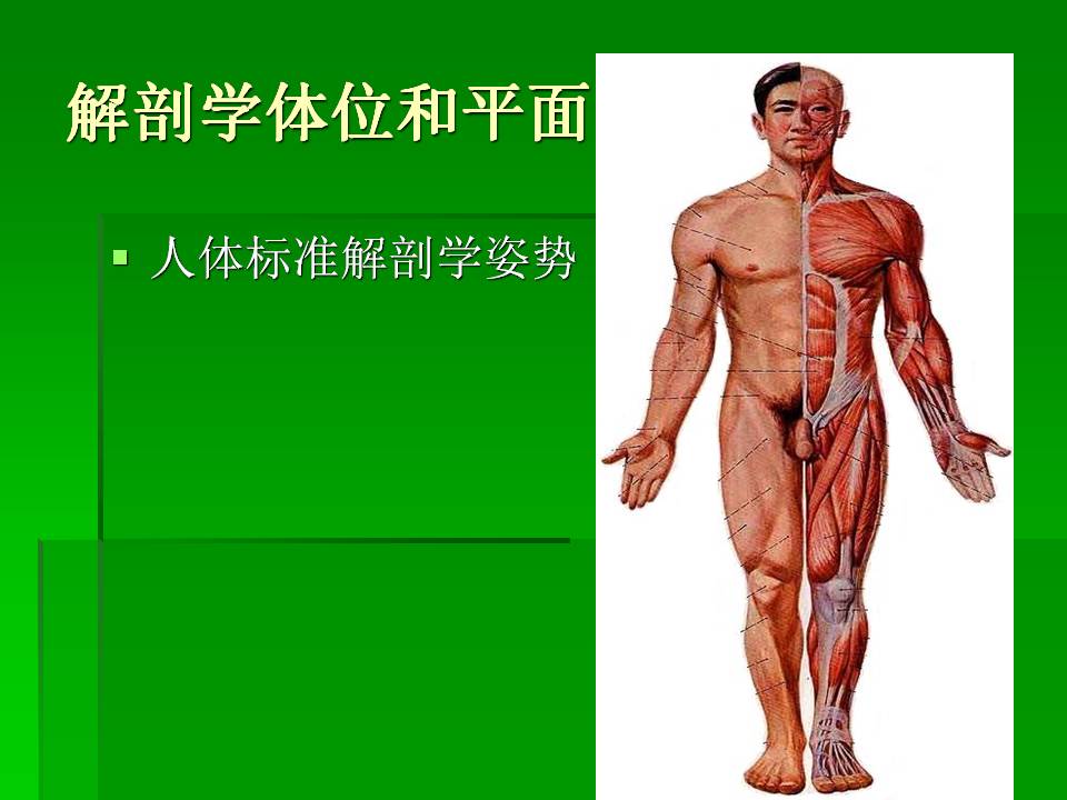 幻灯片32.JPG
