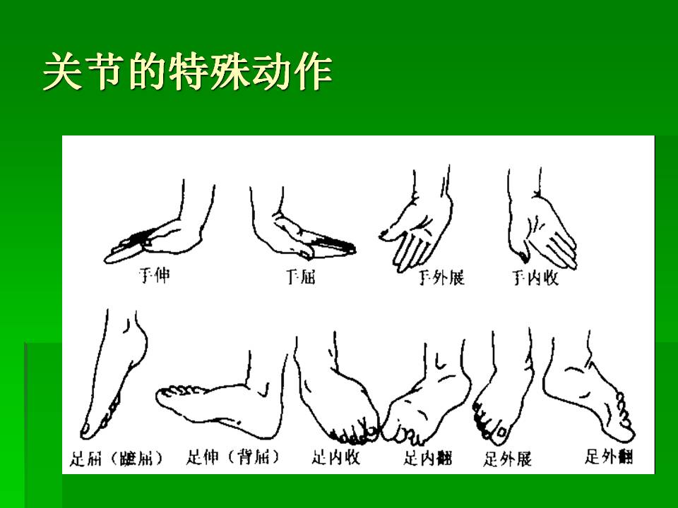 幻灯片37.JPG