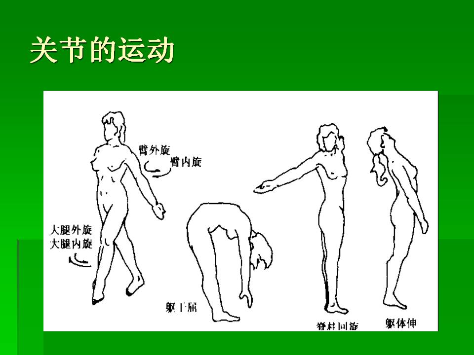 幻灯片38.JPG