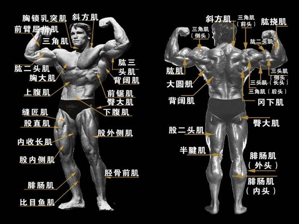 幻灯片42.JPG