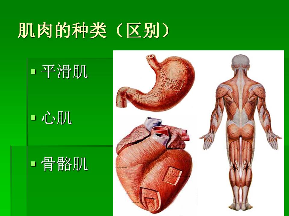 幻灯片43.JPG
