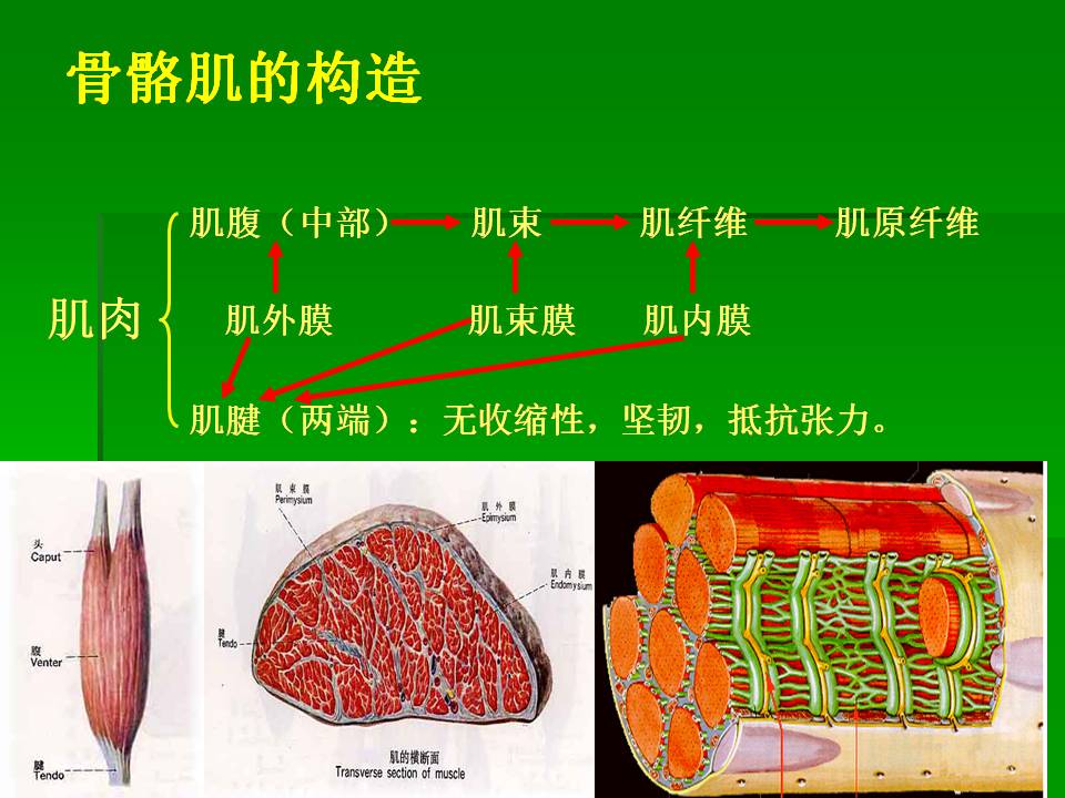 幻灯片45.JPG