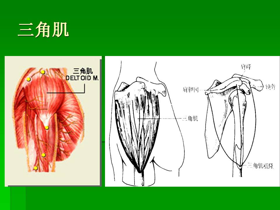 幻灯片55.JPG